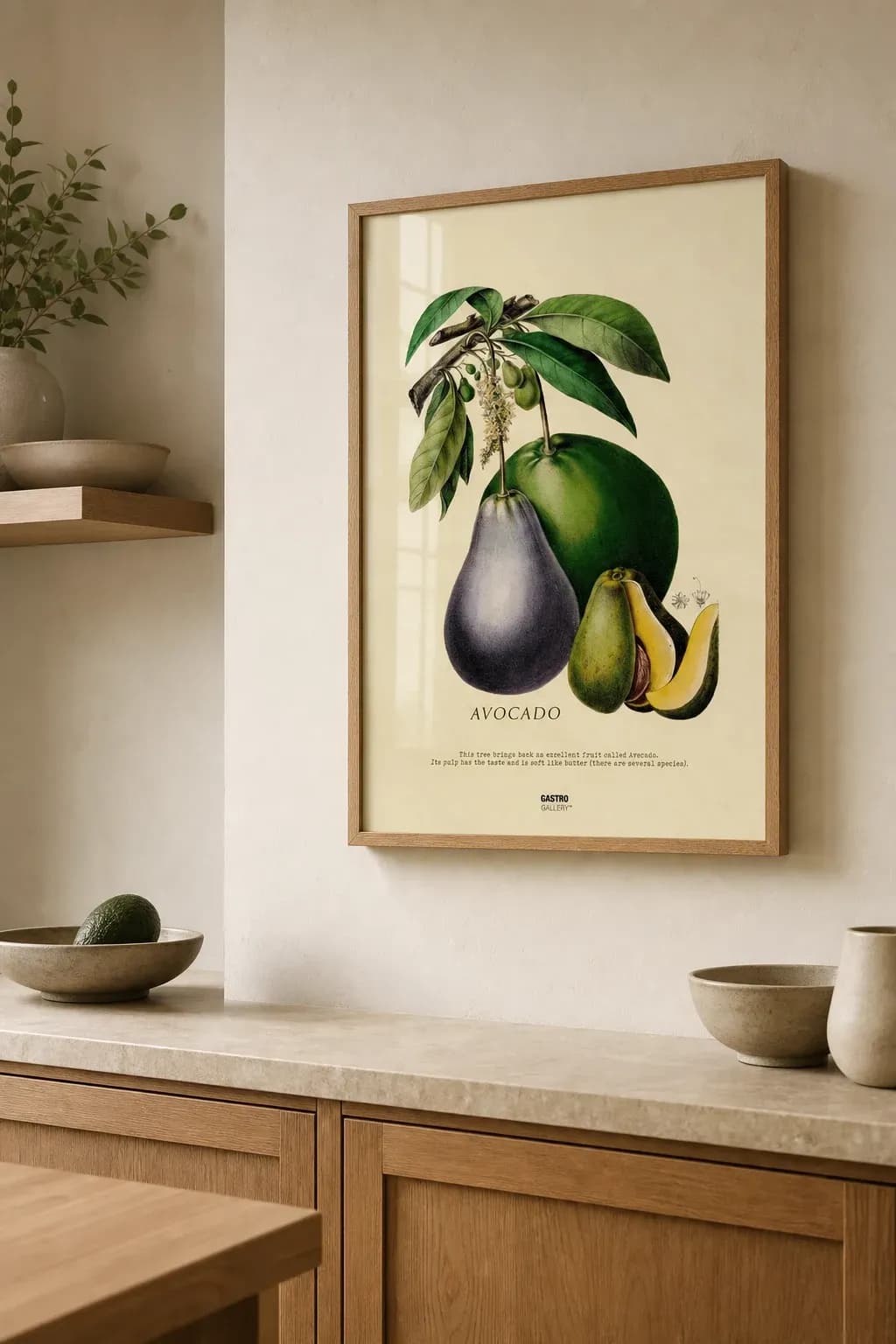 Avocado — view 2