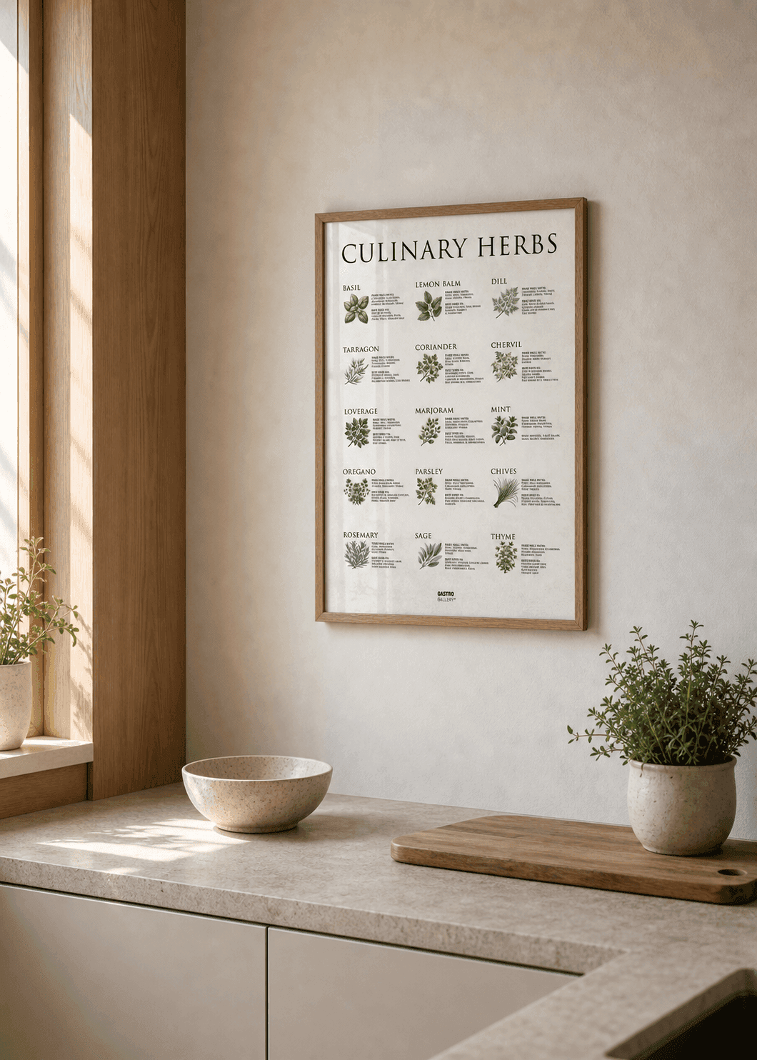 Culinary Herbs — view 2