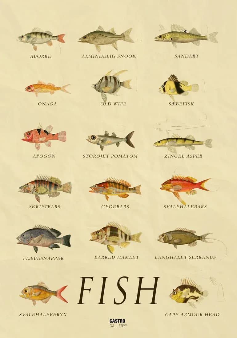 Fish — view 1