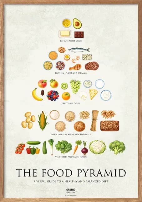 Food Pyramid Poster