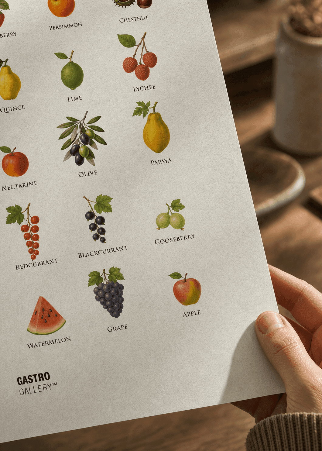 Fruits of the World — framed on a wall