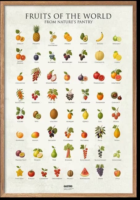 Fruits of the World
