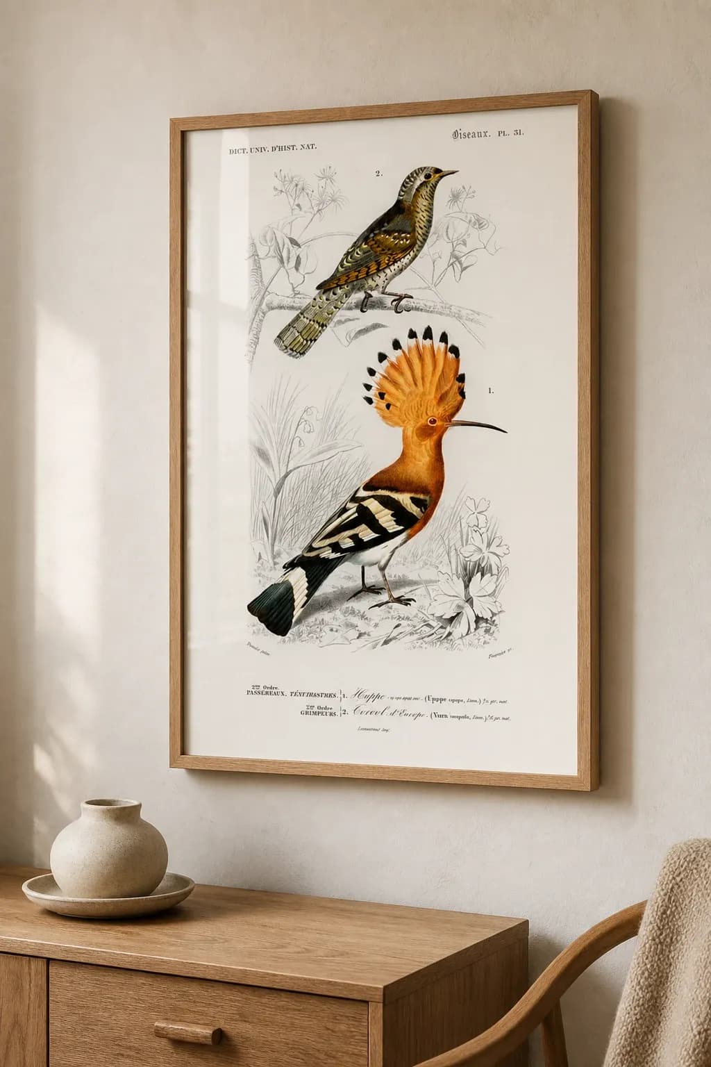 Hoopoe and Wryneck — view 2