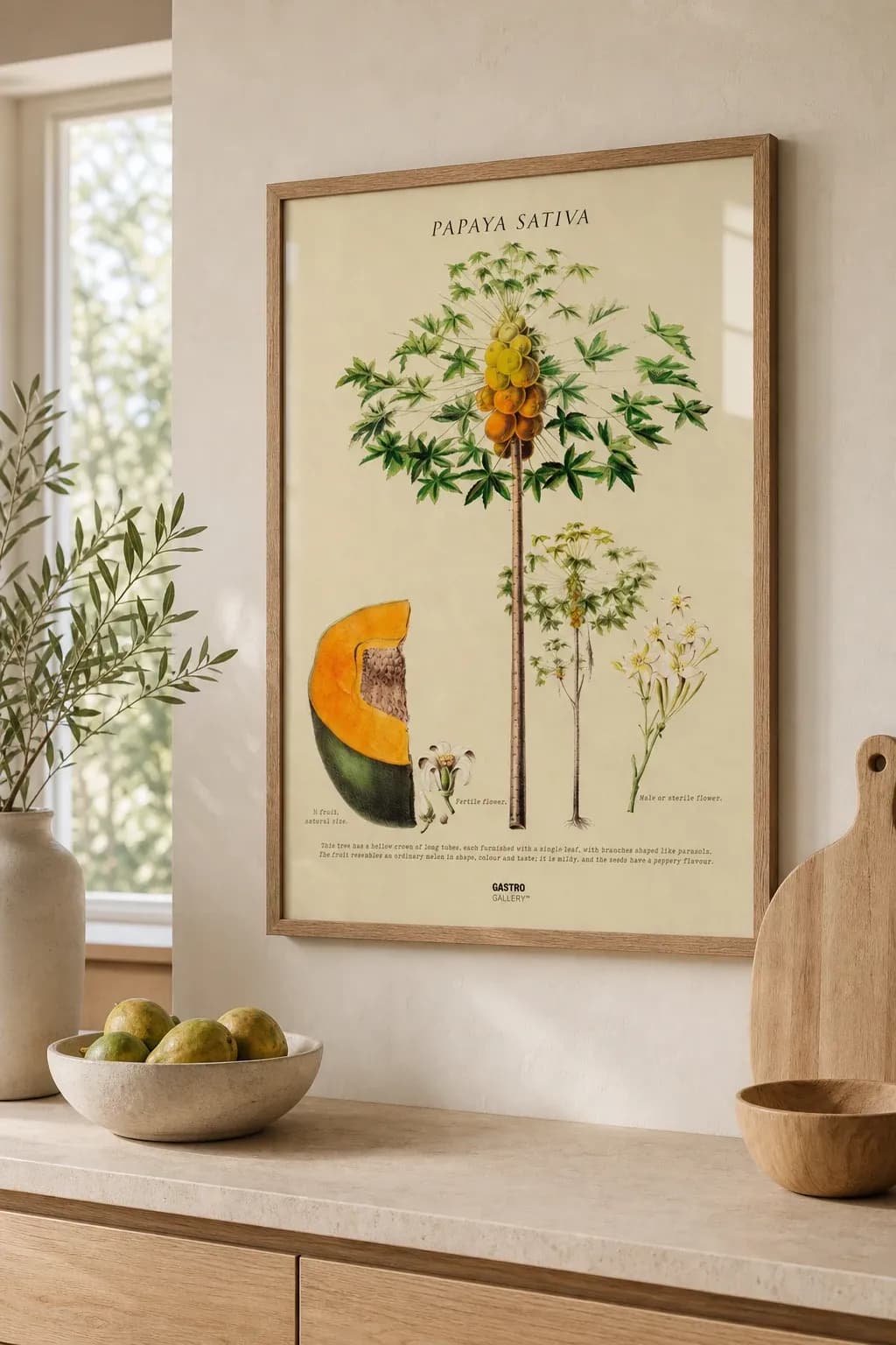 Papaya — view 2