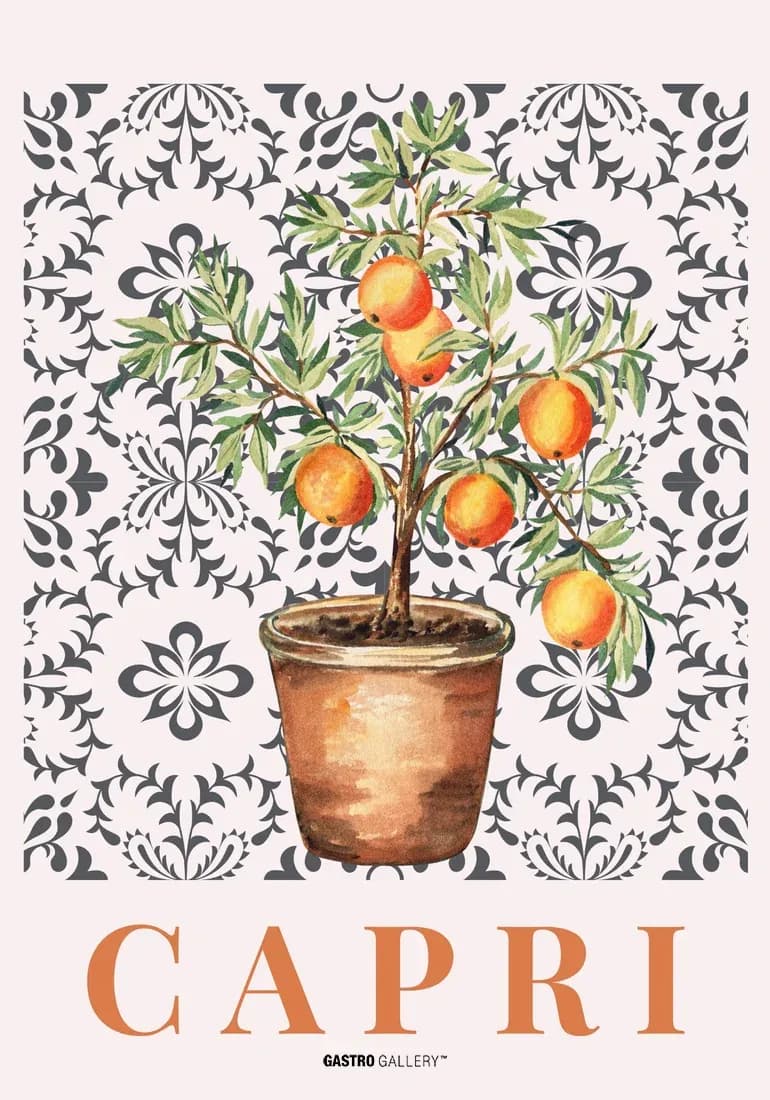 Potted Citrus Tree — view 1
