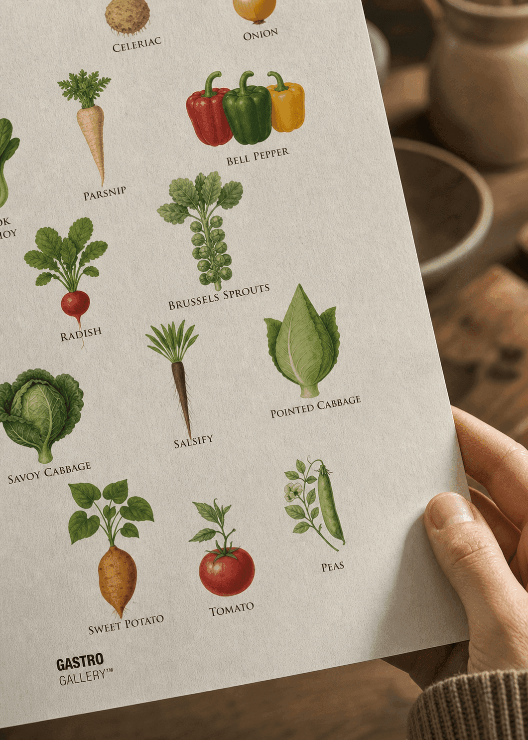 Vegetables of the World — framed on a wall