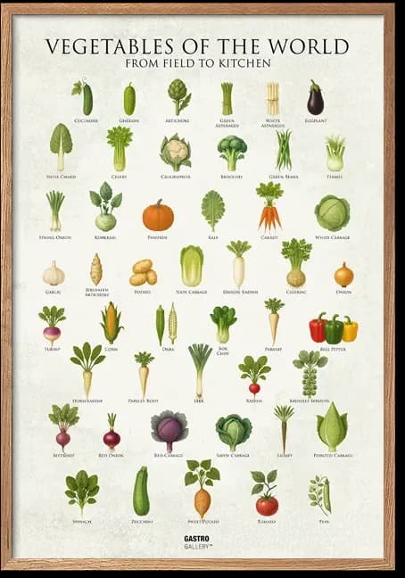 Vegetables of the World