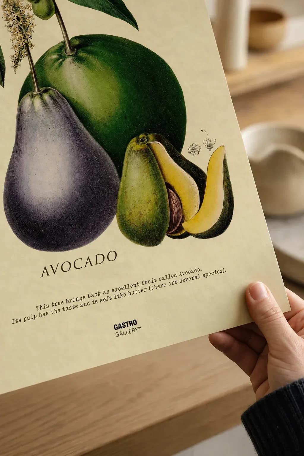 Avocado — framed on a wall