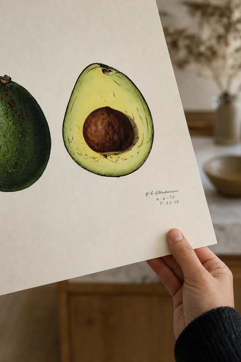 Avocado Persea — framed on a wall