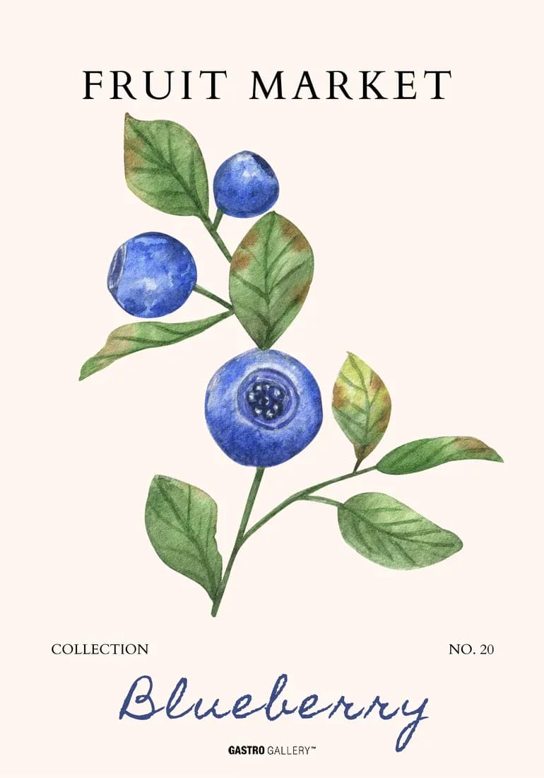 Blueberry Market Collection