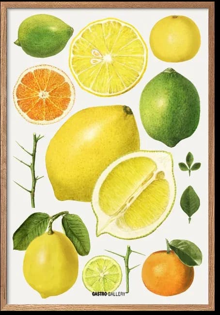 Citrus Fruits Collection