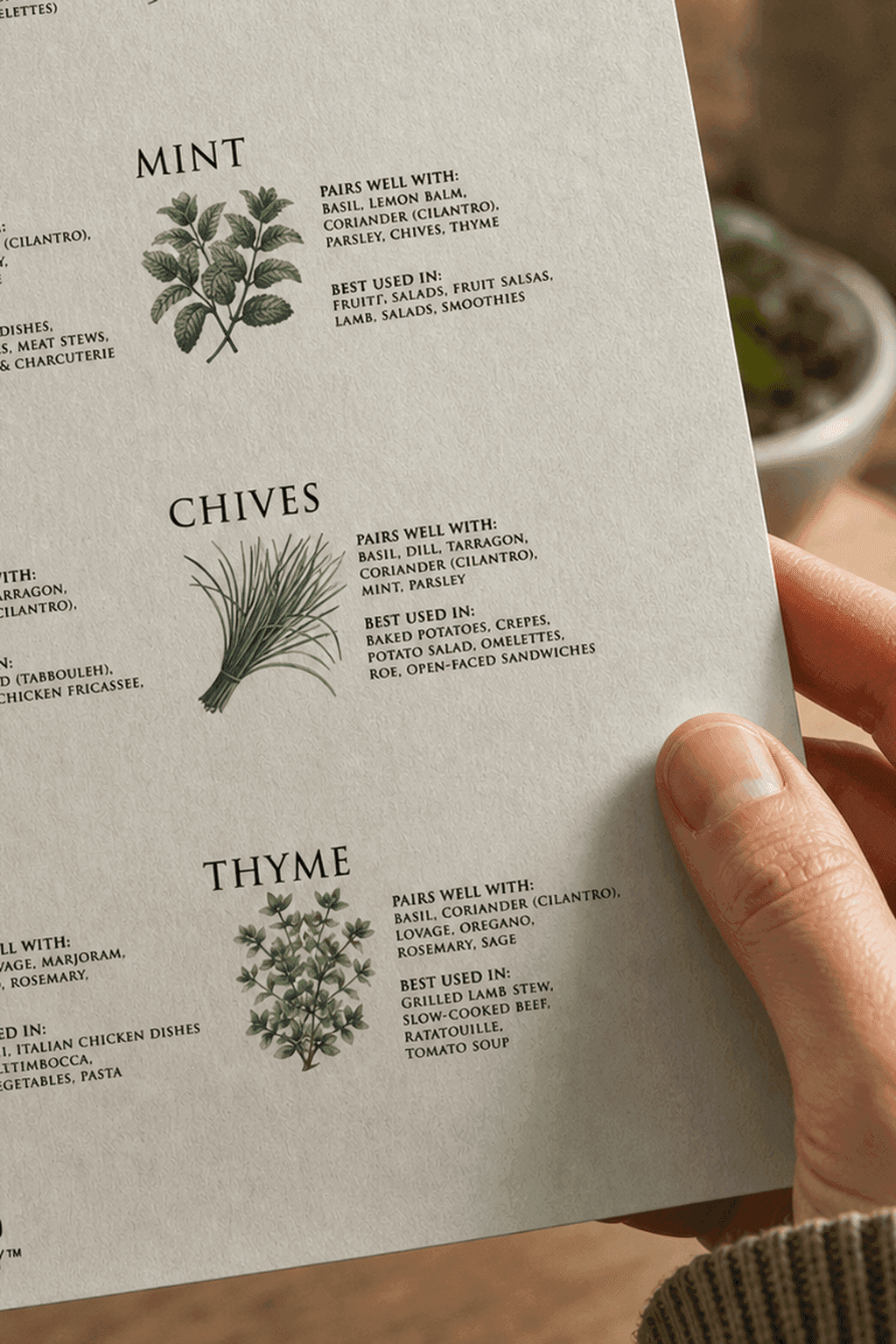 Culinary Herbs — framed on a wall
