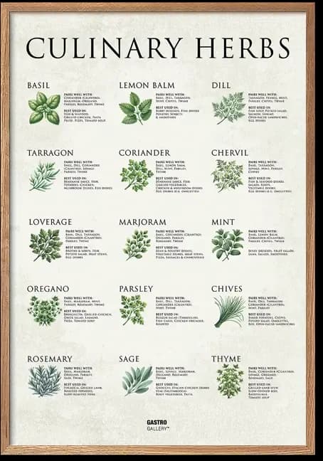 Culinary Herbs