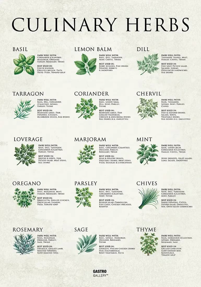 Culinary Herbs