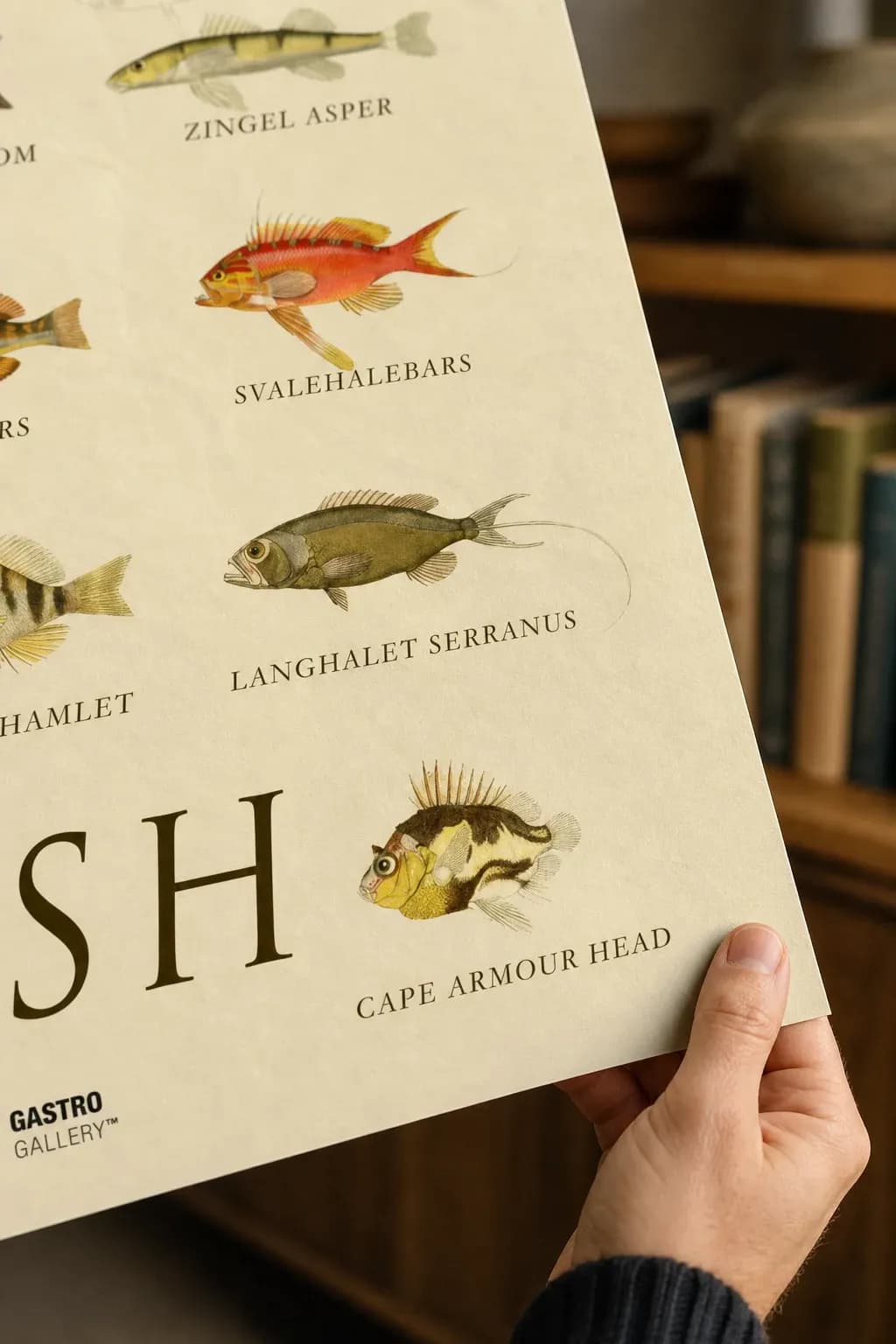 Fish — framed on a wall