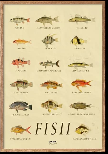 Fish