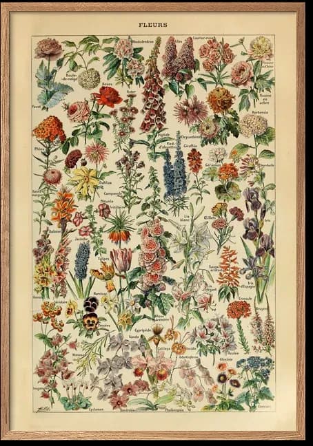 Fleurs – Adolphe Millot