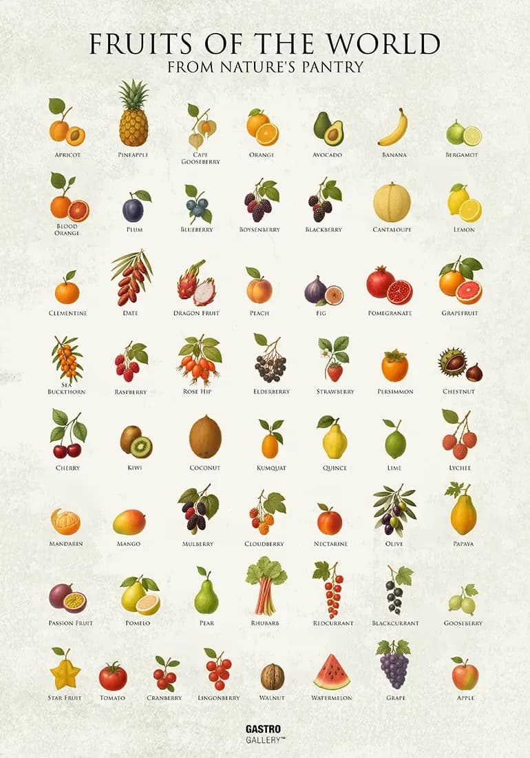 Fruits of the World