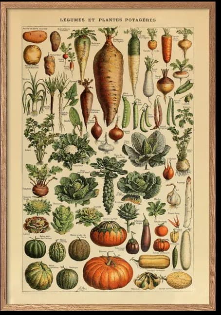 Legumes – Adolphe Millot