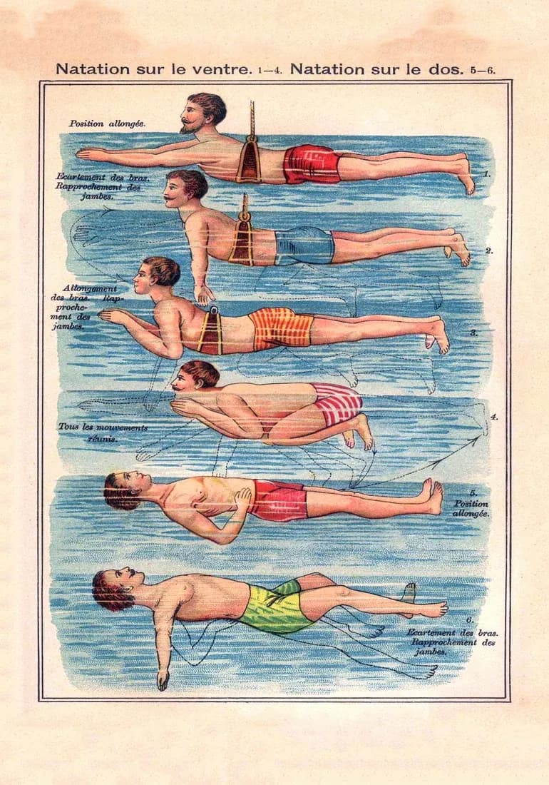 Natation sur le ventre