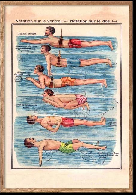 Natation sur le ventre