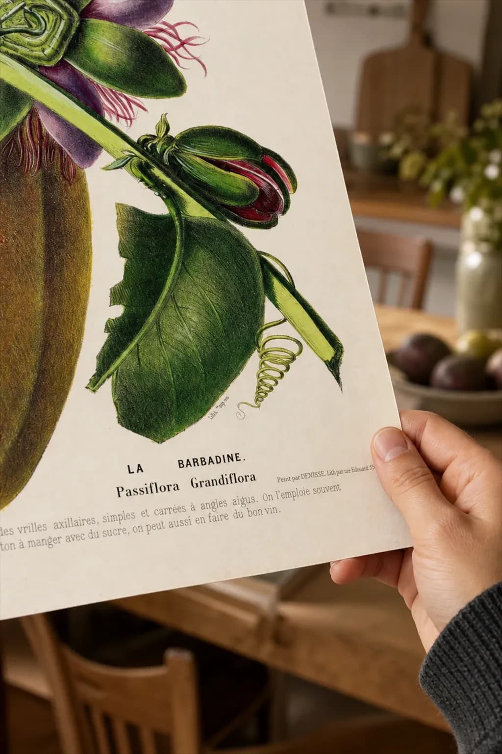 Passion fruit — framed on a wall