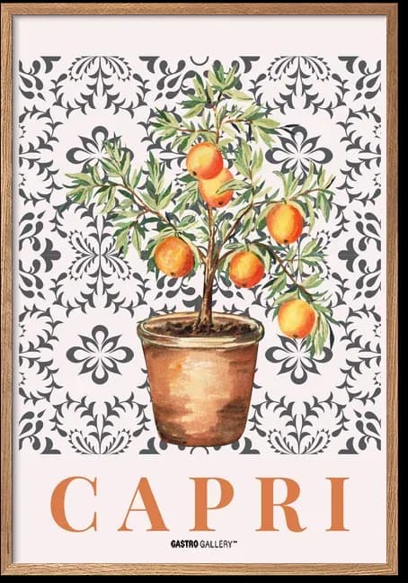 Potted Citrus Tree