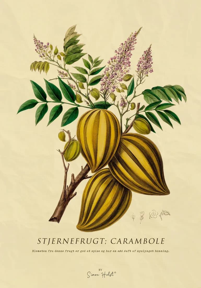 Star Fruit