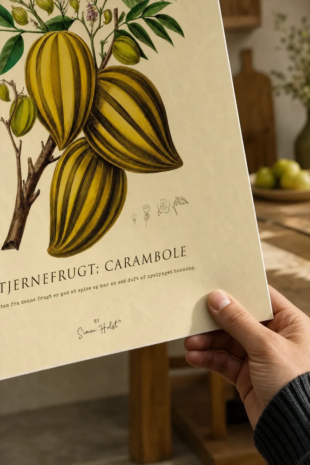 Star Fruit — framed on a wall