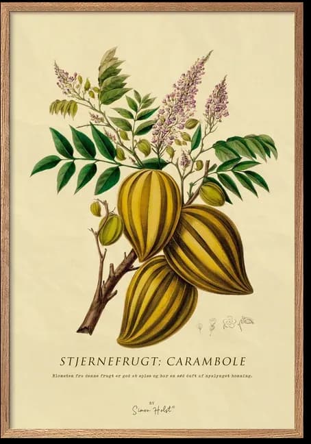 Star Fruit