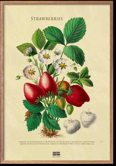 Strawberries