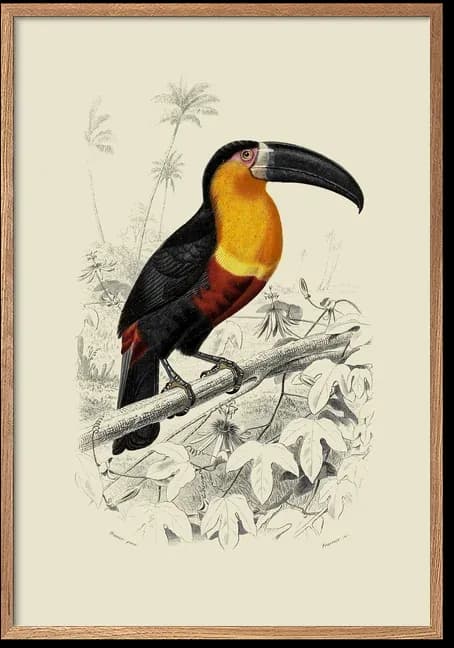 Tukan