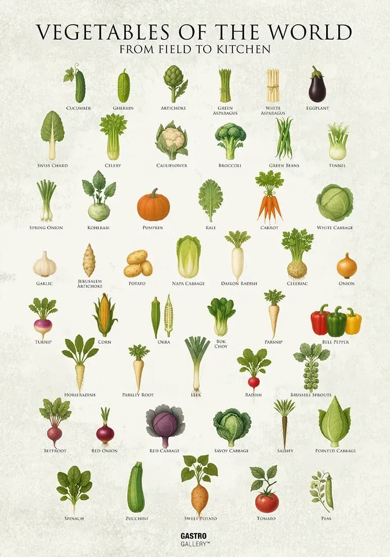 Vegetables of the World